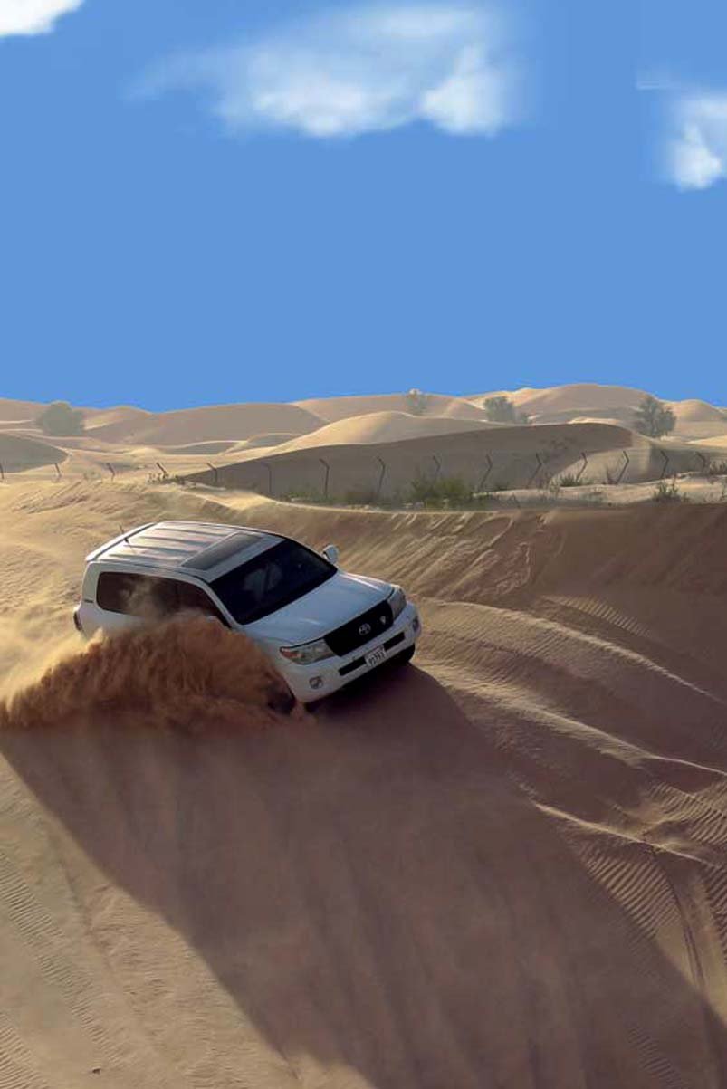 Liwa abudhabi evening desert safari booking