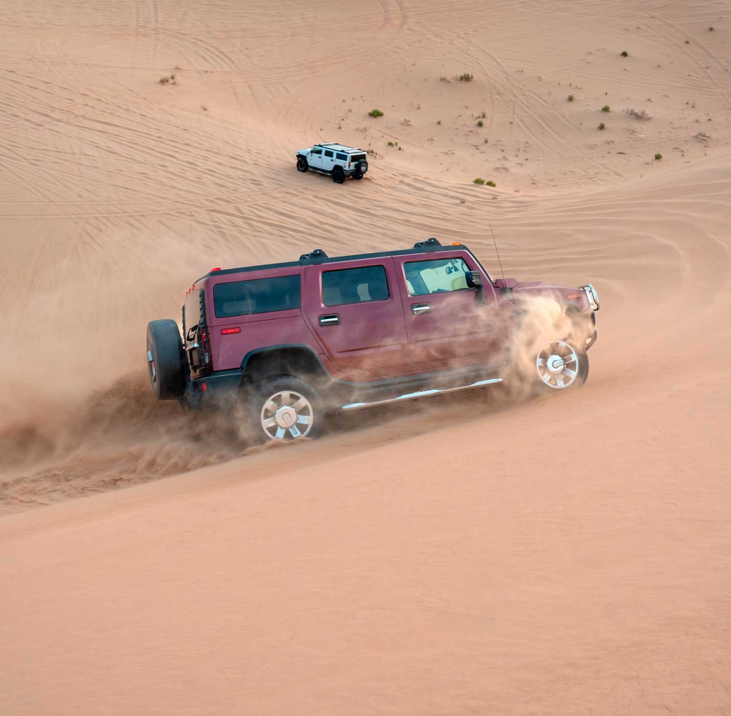 Liwa fullday desert safari booking